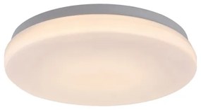 Rabalux 77133-LED Plafoniera da bagno LOWAR LED/12W/230V IP44 3000/4000/6000K
