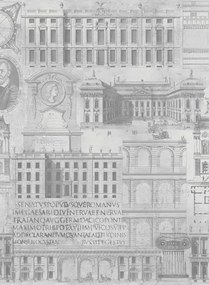 Mindthegap Carta da parati Vitruvius - WP20027