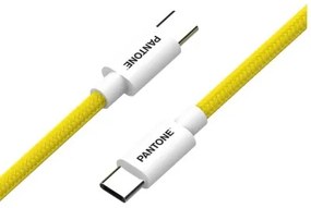 PANTONE USBC TO USBC CABLE YELLOW