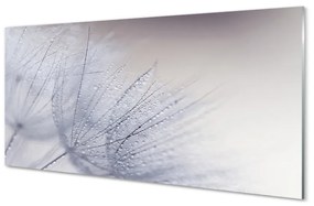 Quadro in vetro acrilico Lascia cadere Rosa Blower 100x50 cm