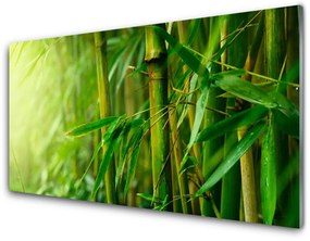 Quadro in vetro acrilico Steli di piante di bambù 100x50 cm