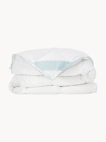 Piumino normale in piuma d'oca quattro stagioni Comfort