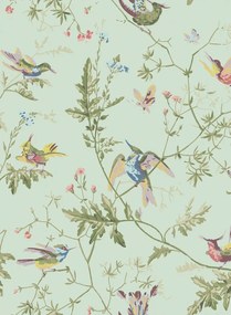 Cole & Son Tapete Hummingbirds - Multi/ Old Olive on Duck Egg