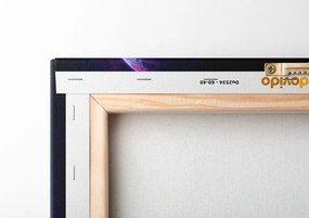 Quadro su tela – Ritratto di astronauta