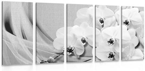 Quadri 5 pezzi – Orchidea su tela in bianco e nero