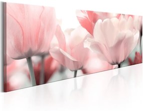Quadro Pink Tulips