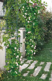 Arco da Giardino in Acciaio 37x130xh240 cm per Rampicanti Rama Verde...