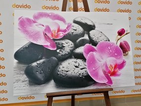 Stampa su tela – Bella armonia di pietre e orchidee
