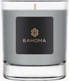 Candela profumata fatta a mano Ash (eucalipto, mirtillo nero)