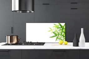 Pannello cucina paraschizzi Foglie di piante naturali 100x50 cm