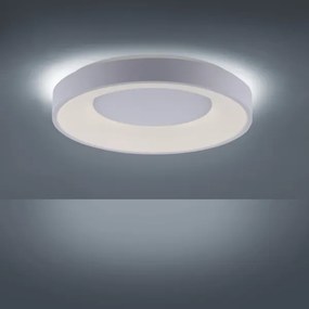 Leuchten Direkt 14326-16 - Lampada LED dimmerabile ANIKA LED/30W/230V + T