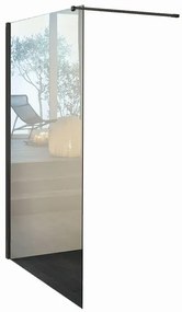 Walk-in wens L 120 x H 200 cm, vetro 6 mm vetro senza finitura / trasparente nero