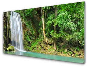 Quadro su vetro acrilico Cascata della natura della foresta 100x50 cm