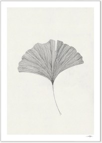 Poster Grinkgo Leaf