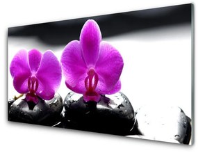 Quadro su vetro Fiori Orchidea Natura 100x50 cm