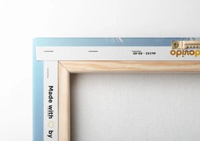 Quadro su tela – Dettaglio del soffione