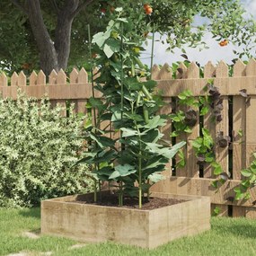 Supporti Piante Da Giardino Con 3 Anelli 5pz Verde 75cm Acciaio /