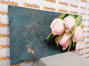 Stampa su tela – Tulipani rosa pastello
