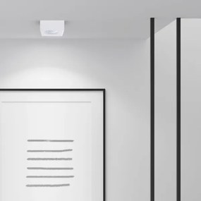 Faretto BALI 1xGU5,3/MR16/25W/12V quadrato bianco