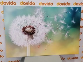 Stampa su tela – Soffione magico