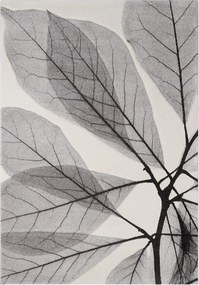 Tappeto Leaves in polipropilene beige chiaro L 230 x L 160 cm