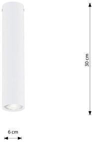 Plafoniera Moderna Faretto Marduk 1 Luce Acciaio Bianco 30 Cm