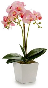 Vaso 8430852552532 Plastica (18 x 50 x 23 cm)