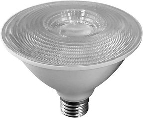 Lampadina LED SAMSUNG CHIP PAR30 E27/11W/230V 6500K
