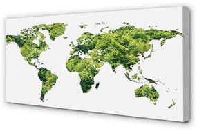Quadro su tela Mappa di erba verde 100x50 cm