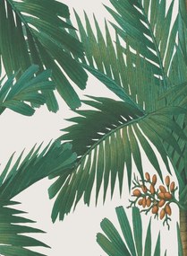 Rebel Walls Carta da parati Palm Spring - Pearl
