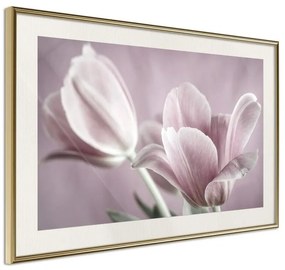 Poster  Pastel Tulips I  Cornice Quadri Cornice d'oro con passe-partout, Larghezza x Altezza Home decor 30x20