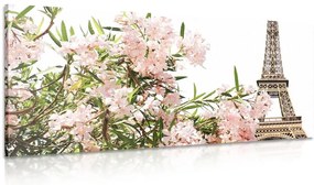 Stampa su tela – Torre Eiffel e fiori rosa