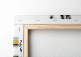 Stampa su tela – Astrazione di lusso