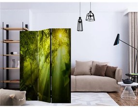 Paravento  In a Secret Forest II [Room Dividers]