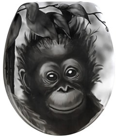 Sedile WC , 44,5 x 36,5 cm Ape - Wenko