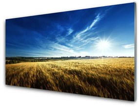 Pannello paraschizzi cucina Paesaggio del sole del campo di mais 100x50 cm