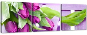 Quadro su tela 3 pezzi Fiori di tulipani rosa  Dimensioni 150x50