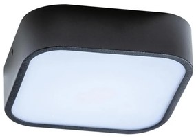 Azzardo AZ4146 - Plafoniera bagno LUIE 2xE27/20W/230V IP44