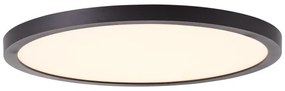 Brilliant - Plafoniera LED da soffitto TUCO LED/16W/230V Ø 25 cm nero