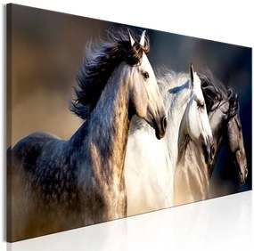 Quadro Sons of the Wind (1 Part) Narrow  Colore Bianco, Dimensioni e Misure 135x45