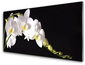 Quadro vetro acrilico I fiori della pianta 100x50 cm