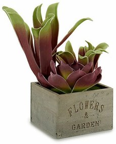 Pianta Decorativa Succulenta Bicolore Plastica 15 x 28 x 15 cm (4 Unità)