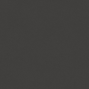 Bisont cuscino disponibile in diversi colori realizzato in microfibra effetto pelle smacchiabile T15 antracite