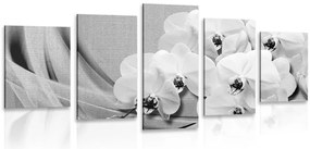 Quadri 5 pezzi – Orchidea su tela in bianco e nero