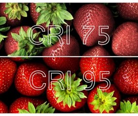 Lampadina LED Antibatterica Dimmerabile B40 E14/4,9W/230V Wi-Fi - Ledvance