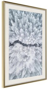 Poster  Winter Forest From a Bird's Eye View  Cornice Quadri Cornice d'oro con passe-partout, Larghezza x Altezza Home decor 20x30