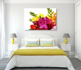 Stampa su tela – Bouquet di fresie colorate