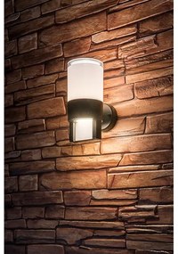 Rabalux 77130 - Applique a LED da esterno LEITHA LED/12W/230V IP44