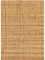 Élitis Carta da parati Abaca - VP 983 15