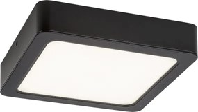 Rabalux 2689 - Plafoniera LED SHAUN LED/12W/230V 14,5 cm